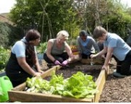 Veg Garden.jpg
